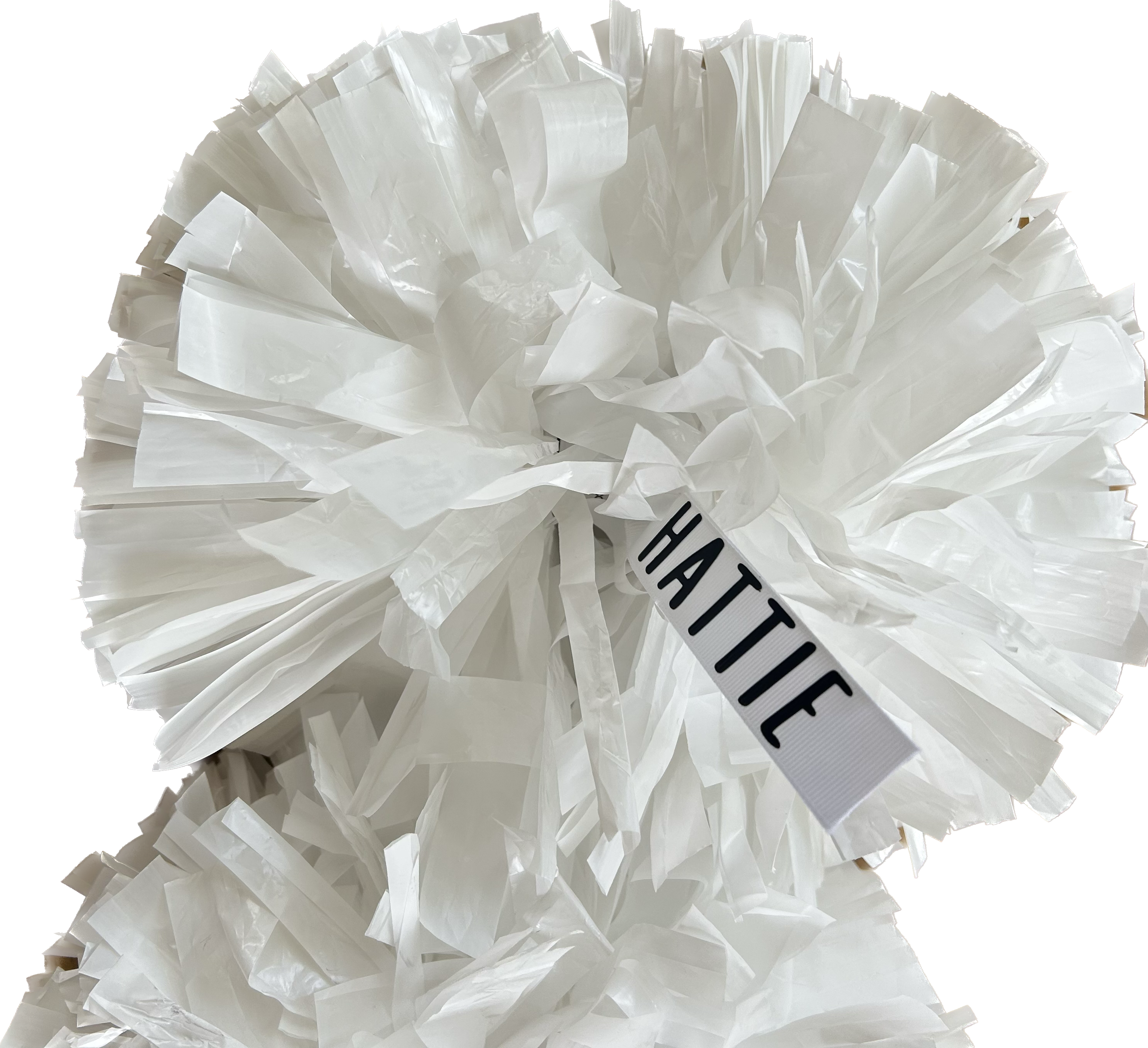 Pom Pom Tags (pair)
